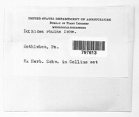 Image Associated With the Occurence